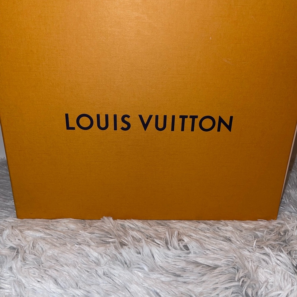 Authentic Louis Vuitton Shoe Box